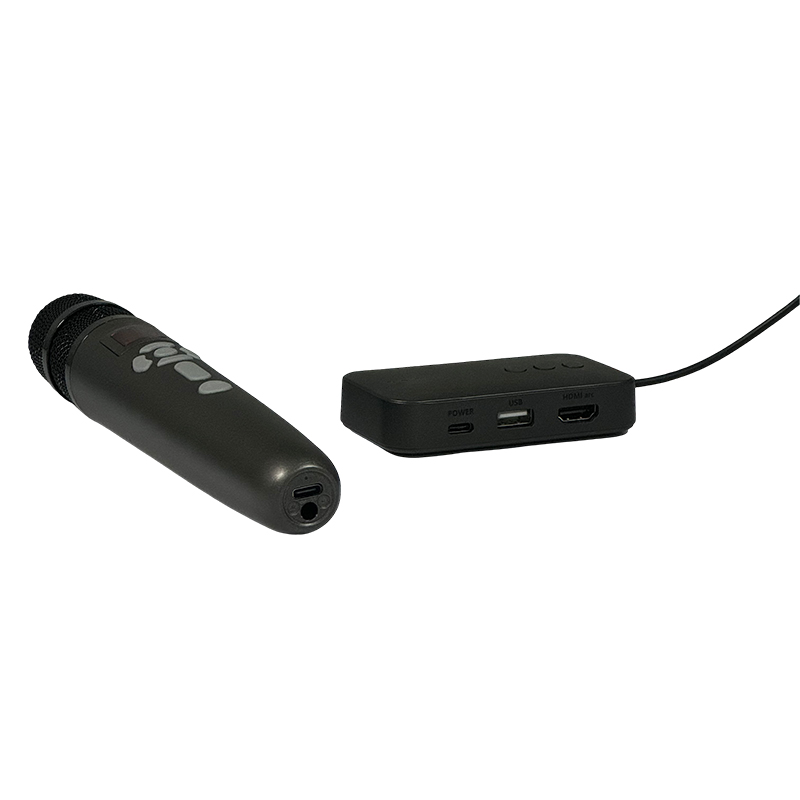 AI Dongle Playback Tool & Microphone